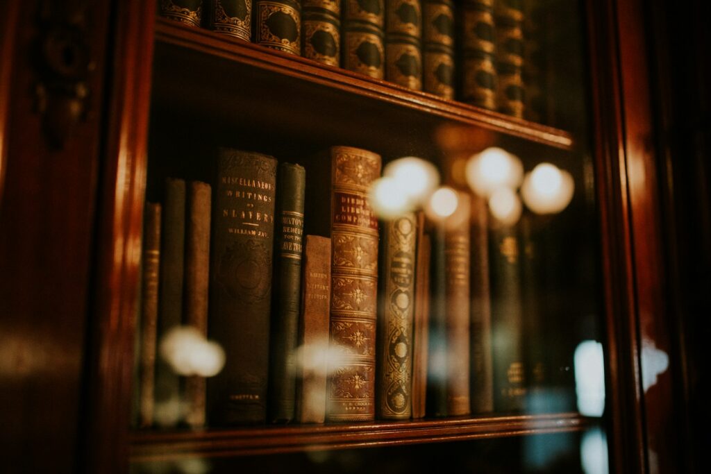 SEO für Anwälte: Fachbücher in einem Bücherschrank als Symbol für juristische Expertise
